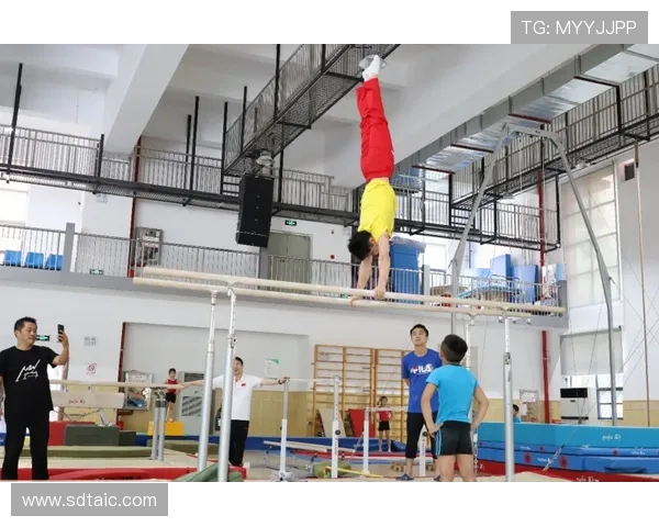 张博恒谈对体操精神的传承