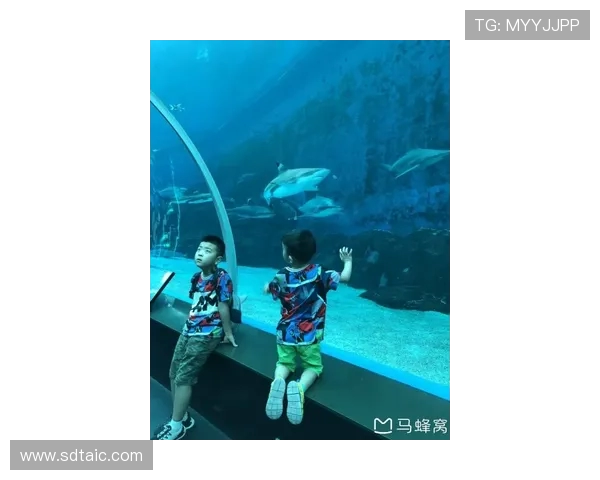 世界潜水锦标赛自由潜水的生理极限值测定